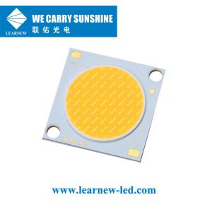 Quality Downlight Wall Lamp 25W-35W 2700-6500K COB LED Chips 19x19MM Super High CRI wholesale