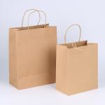 Recyclable Personalised Brown Paper Bags OEM / ODM Available For Packaging