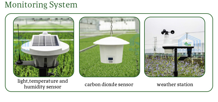 Agricultural Curtain Fabric Blackout Greenhouse Automatic Control Light Deprivation Greenhouse