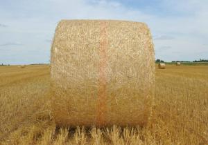 Quality White Hdpe Bale Net Wrap With UV Protection , 6gsm - 12gsm Weight wholesale