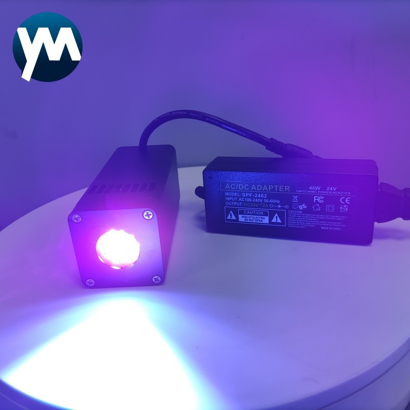 Custom Led Sign 50W UV Flashlight Lamp for 395nm Pen Flashlight Made In China