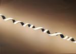 CRI95 Ra95 24VDC 15W Cob Led Rope Light 528Chips/M