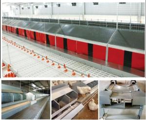 Quality Easy Operate Poultry Farm Automatic Laying Nest PP wholesale