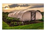 Strawberry Hydroponics Plastic Film Greenhouse , Polyethylene Film Greenhouse