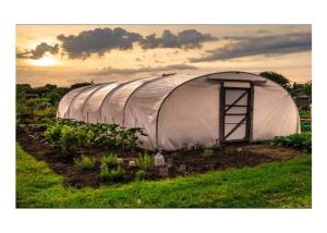 Quality Strawberry Hydroponics Plastic Film Greenhouse , Polyethylene Film Greenhouse wholesale