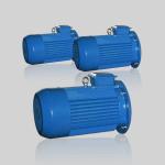 Low Speed Wind Turbine Generator Brushless DC Motor 22kw 3phase