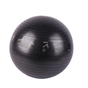Quality 65 Cm Stability PVC Yoga Ball Waterproof Anti Slipping Ecofriendly wholesale