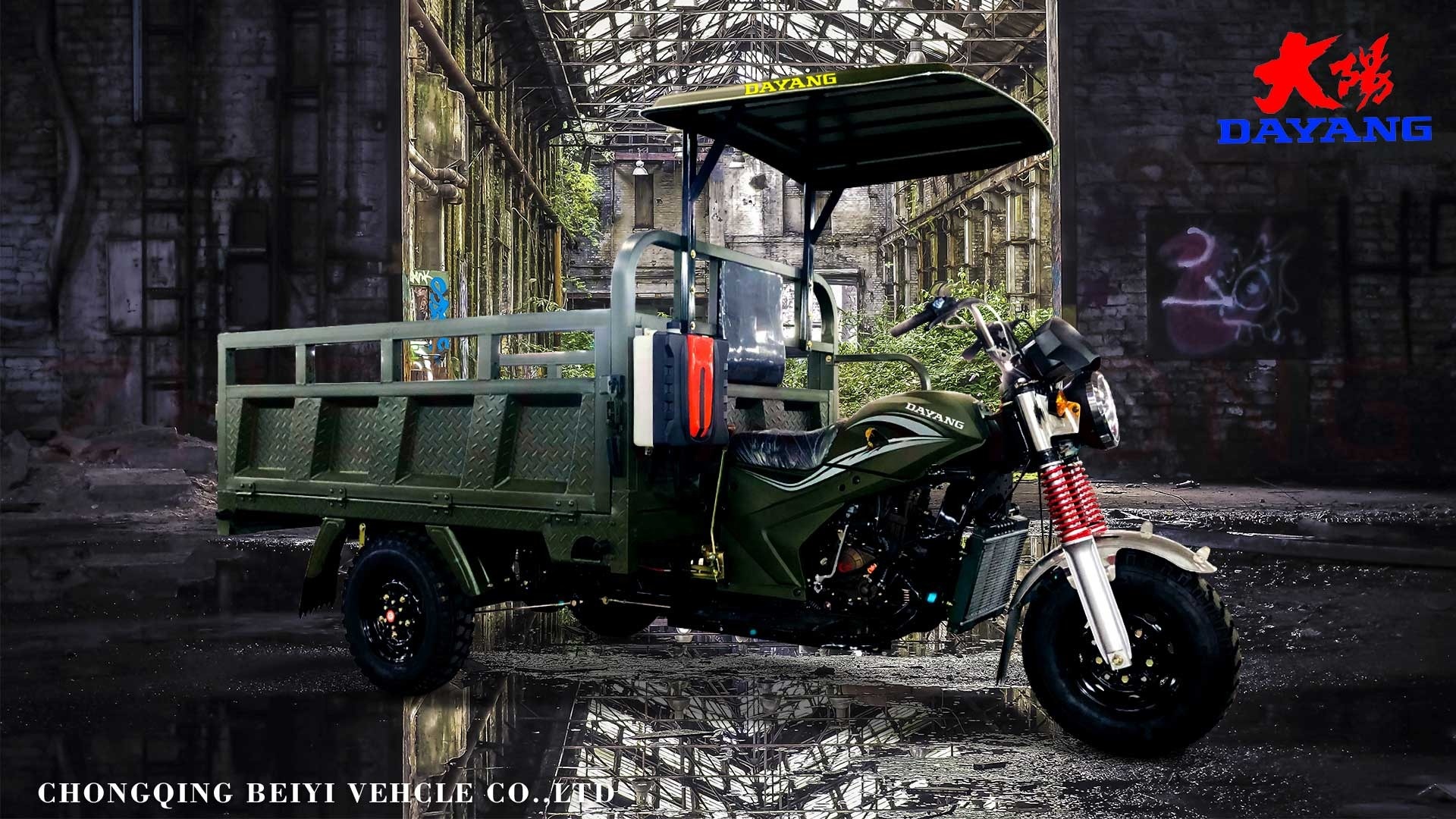 Front Disc and Rear Drum Brake System 250CC Cargo Tricycle for Your Business