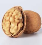 Walnut Chinan Manufacturer Xin2 walnut In shell Best Price Delicious Light Brown