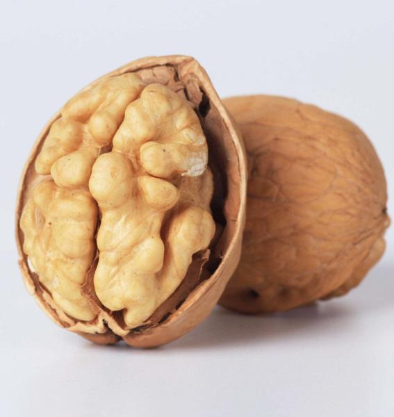 Walnut Chinan Manufacturer Xin2 walnut In shell Best Price Delicious Light Brown