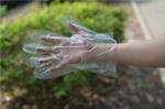 Food Handling Transparent 1.1g/Piece Disposable Hdpe Gloves
