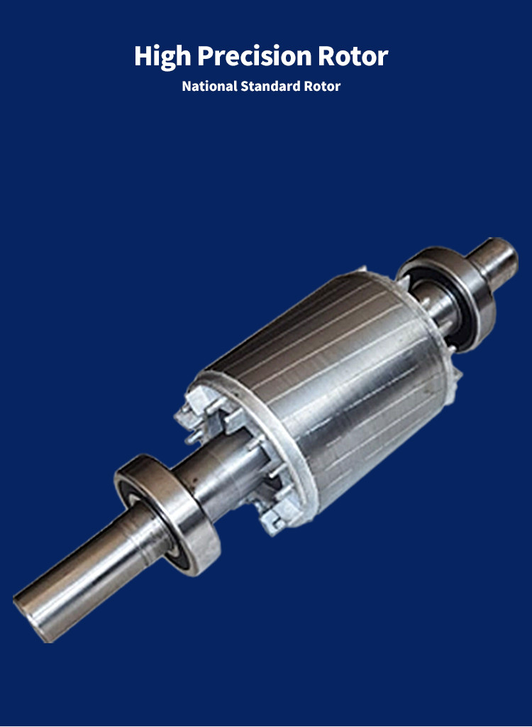Low Speed Wind Turbine Generator Brushless DC Motor 22kw 3phase