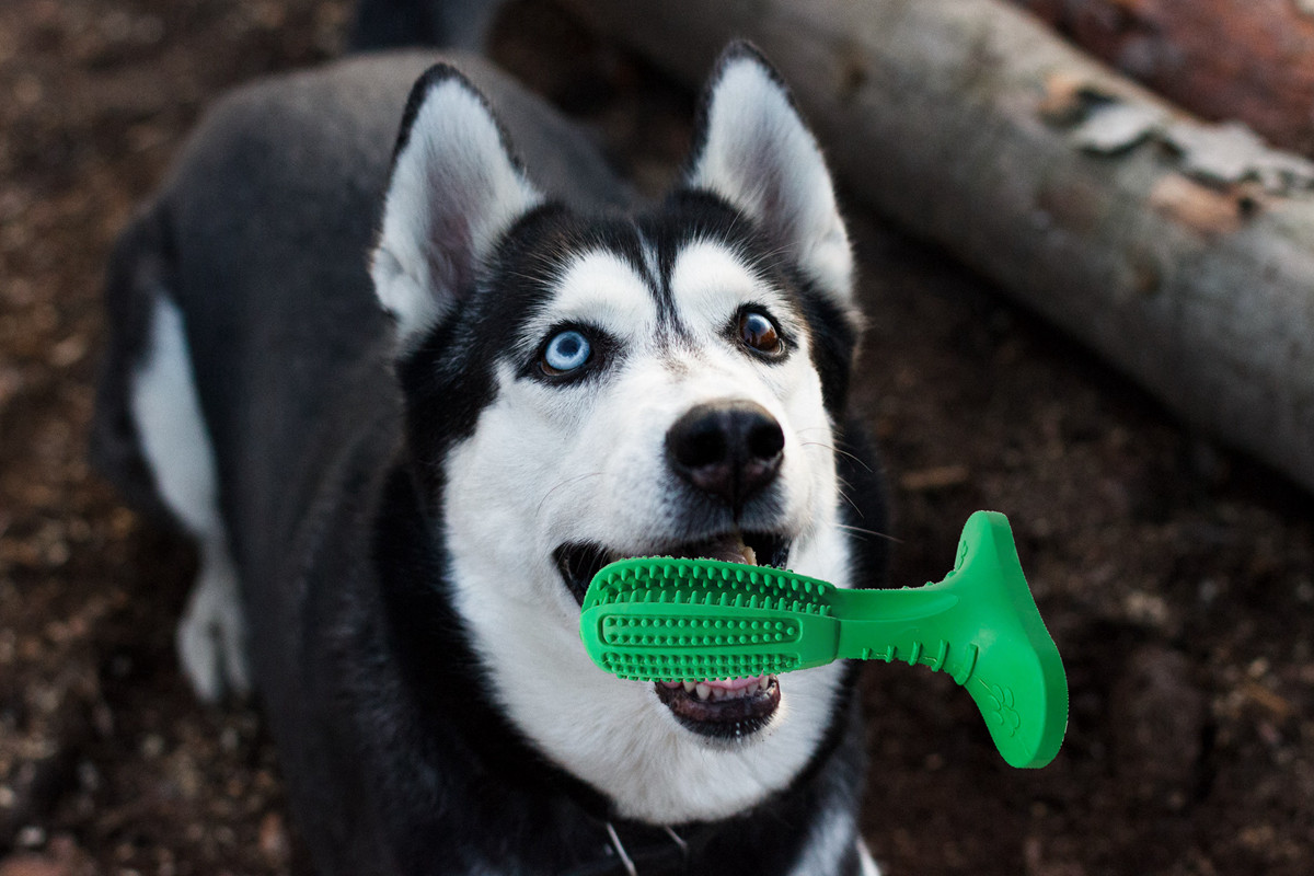 Food Grade Puppy Oral Fresh Cleaning Massager Bite Silicone Dog Toothbrush Chew Toys