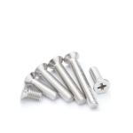 Black Oxide Finish SUS 304 316 Stainless Steel Phillips Flat CSK Head Long
