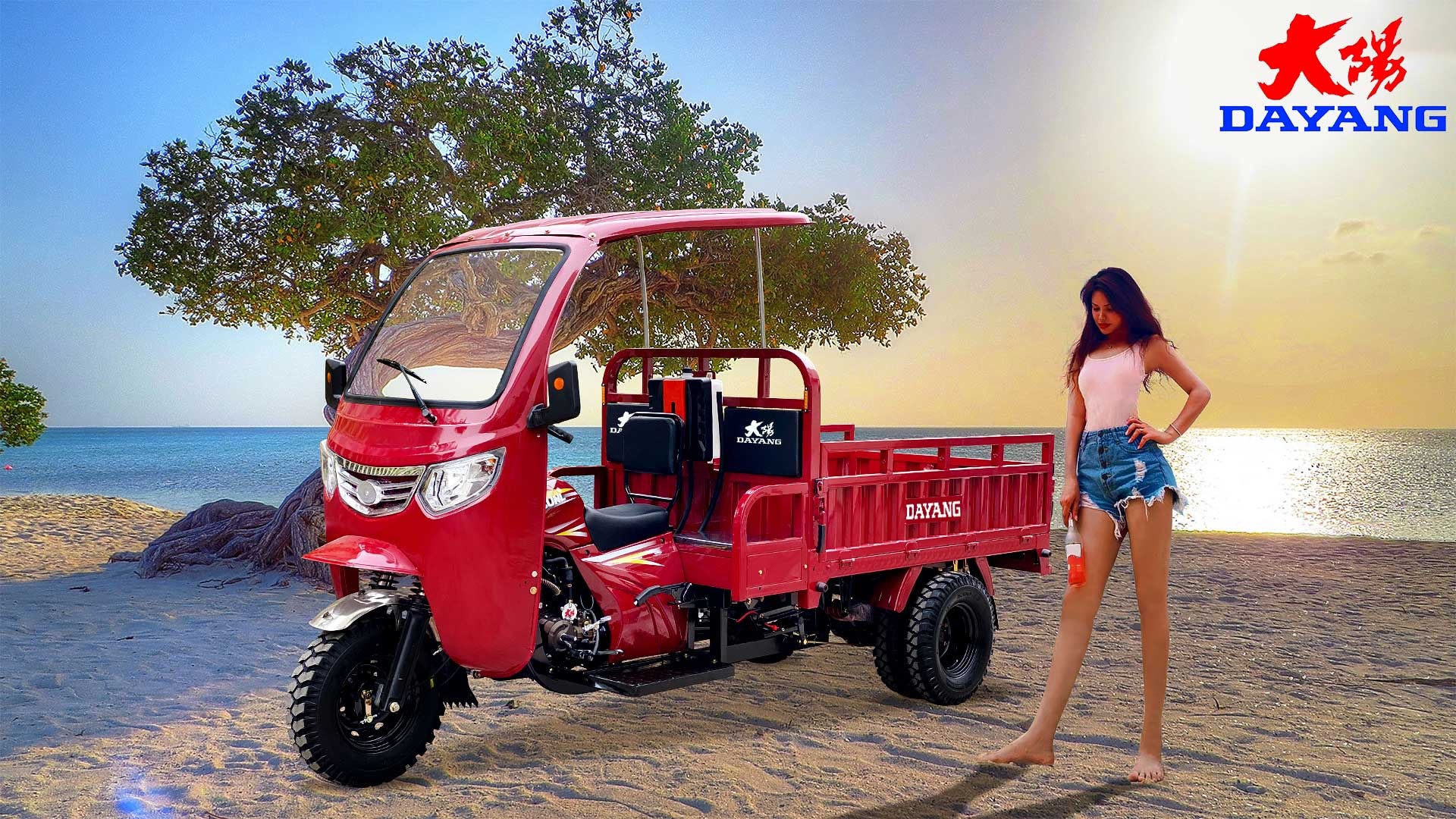 12V Voltage 3 Wheels Motorcycle Motorized Cargo Tricycle 10-20L