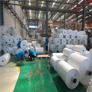 Quality 144g 168g 216g Stone Print Paper Waterproof Eco Friendly Rich Mineral Paper wholesale