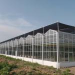 Sunlight Greenhouse Multispan Hydroponics Plastic Film Greenhouse for Commercial