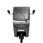 3 Wheel Electric Motorcycle 60V Mobil Roda 3 3 Weel Vehicle 150 For Passenger
