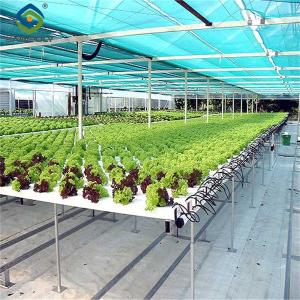 Quality Easy Installation Customized Agricultural Greenhouses With LED Lighting wholesale