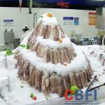 2Mm Thickness Saltwater Flake Ice Machine For Fishery Protection