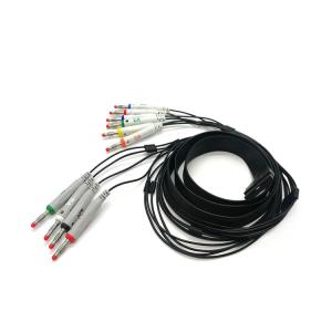 Quality AHA Schiller ECG Holter Cable IEC 10 Leads ECG Banana Cable wholesale