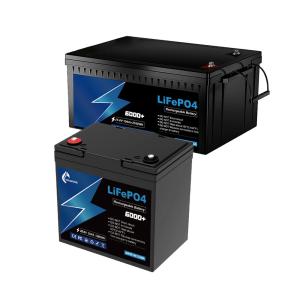 Quality Rechargeable 24V LiFePo4 Battery 1280Wh 50ah To 100ah Lithium Battery wholesale