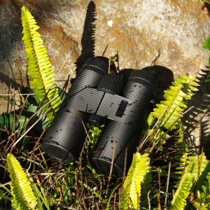 Quality Waterproof Fogproof Hunting Telescope 10X42 High Power Military Binoculars wholesale