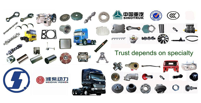 Custom Made Sinotruk HOWO Parts Automatic Tension Roller Tensioner Pulley