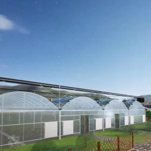 Quality Film Covered Hydroponic Drip Irrigation Greenhouse Kit 20.000kg Package Gross Weight wholesale
