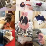 Winter Custom Dog Hoodies , Cold Proof Small Dog And Cat Clothes