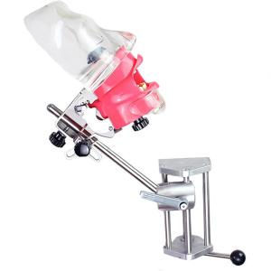 Quality Medical Dental Training Simulator Desktop Dental Phantom Head Model For College Students wholesale