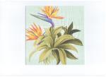 FDA 2-3ply 25x25cm Printed Paper Napkins For Summer Party
