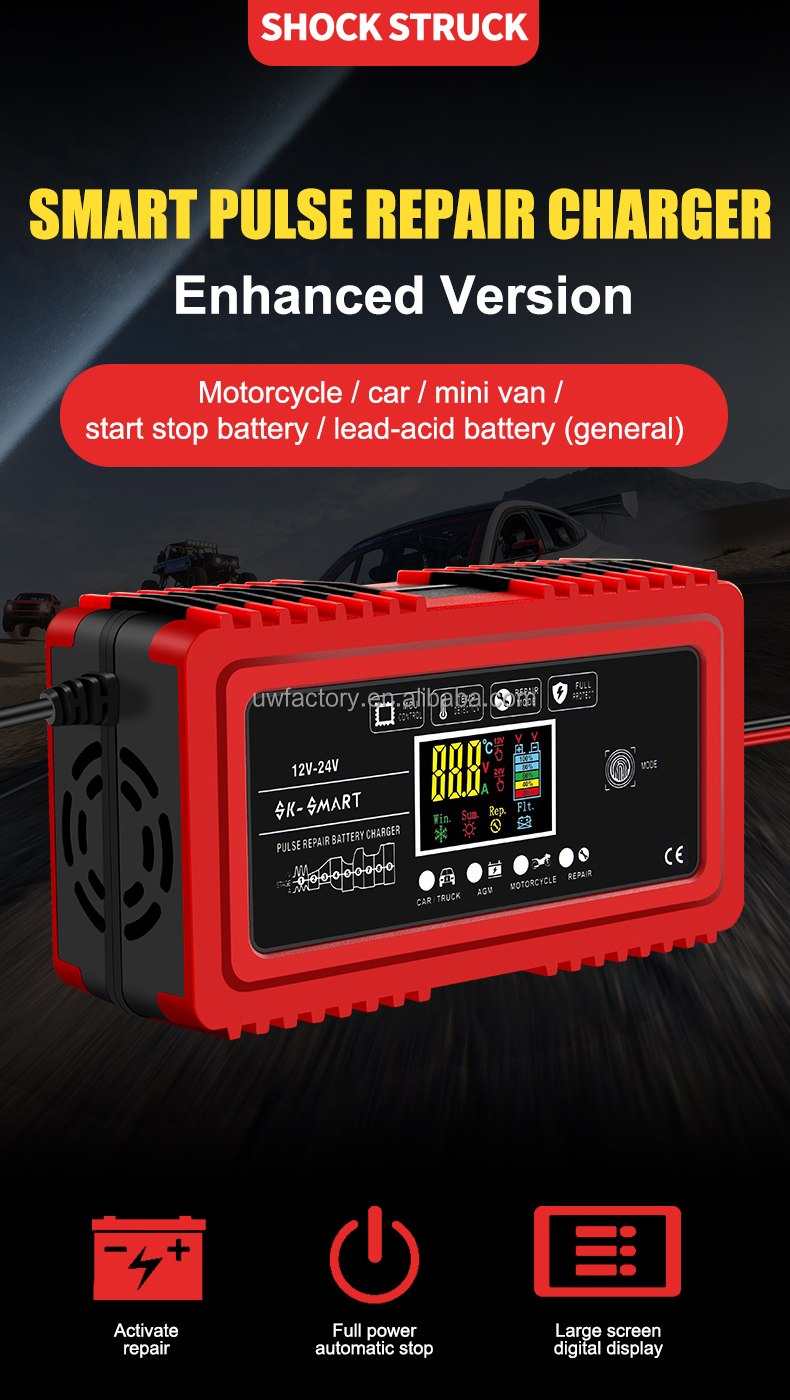 110V 240V 12A 24V 6A Automatic Smart Car Battery Charger for Gel Wet AGM Battery Current Protection and OEM/ODM Acceptance