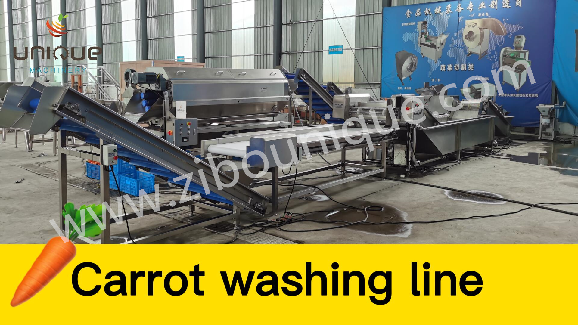 1000-1500 kg/h Capacity Root Vegetable Cutting Machine for Large Scale Production