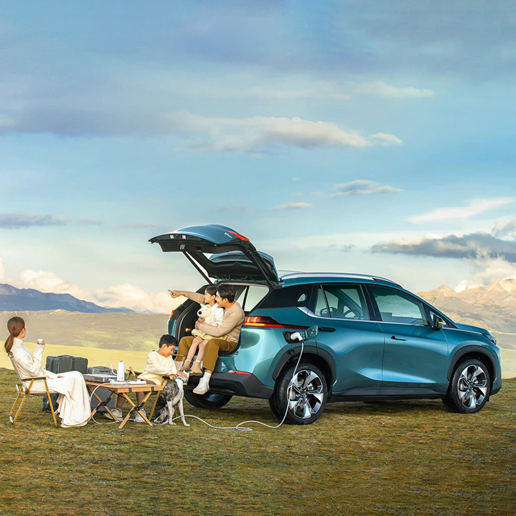 GAC Aions and Y's Electric Vehicles The Future of Shandong Gaia's Automotive Industry