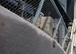 Hanging Safety 25x25mm Stainless Steel Cable Netting Flexibility Anti Acid