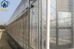 Film Multi Span Nursery Greenhouse Prefabricated Hydroponic System Greenhouse