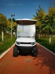 Customized Off Road White 6 Seaters Golf Cart With AC Motor 3.5 KW Lead Acid
