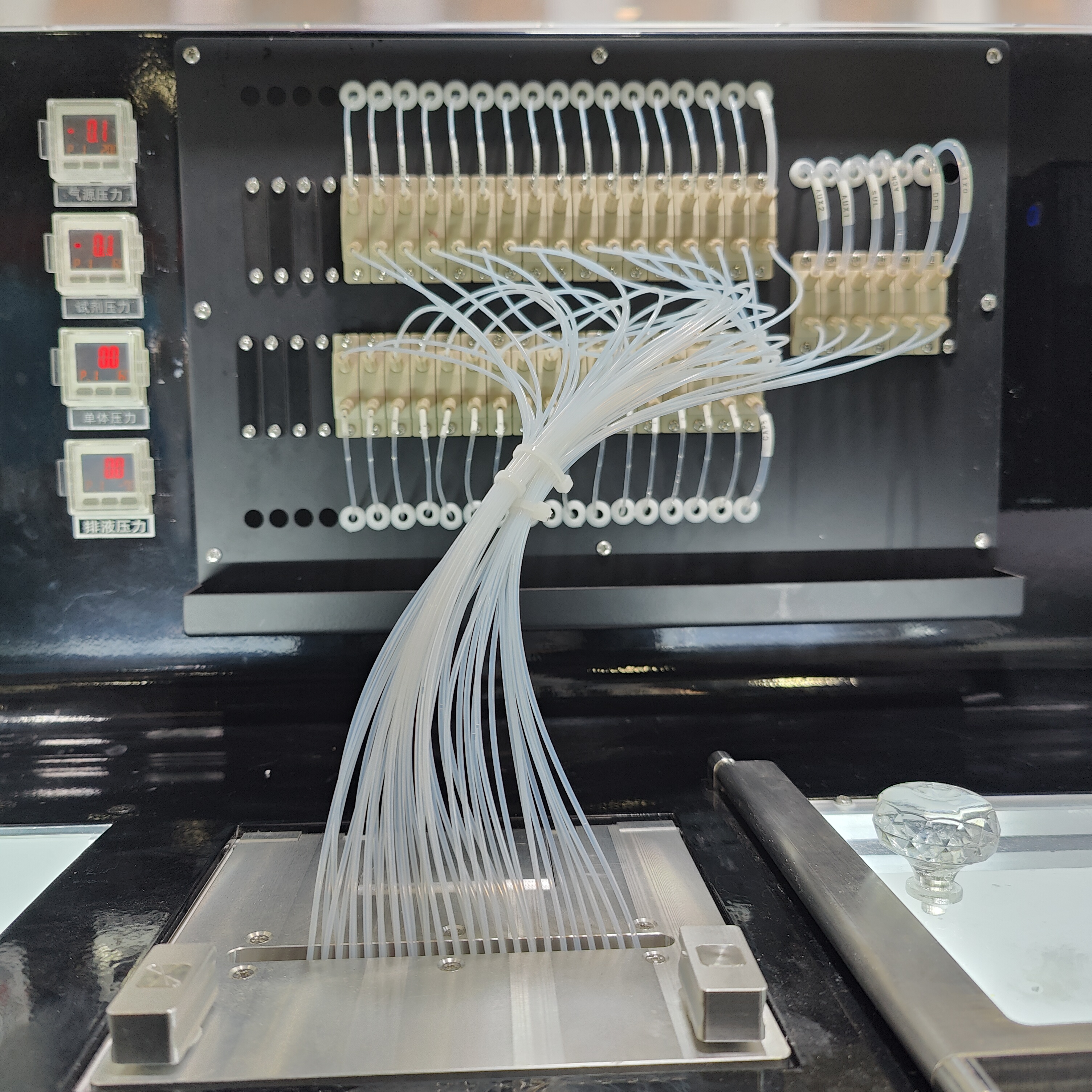 Medium Throughput DNA RNA Oligonucleotide Equipment for Precise and Accurate Results