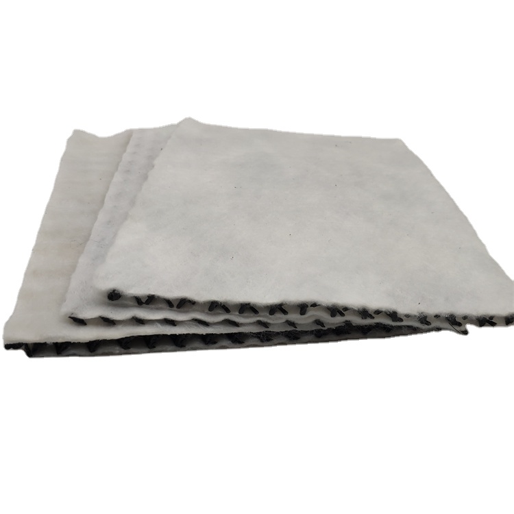 Easy Set 3d Composite Drainage Geonet for Reverse Filtration Drainage Protection