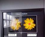 LCD Display AG 12mm AR Decorative Laminated Glass