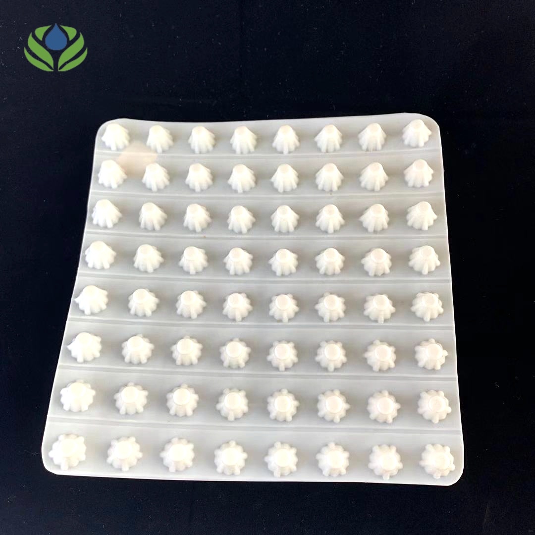 Plastic Drainage Board for Green Roofs Customized Dimple Waterproof HDPE Drain Board