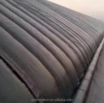 Film Covered Solar Greenhouse for Sustainable Winter Cucumber Cultivation