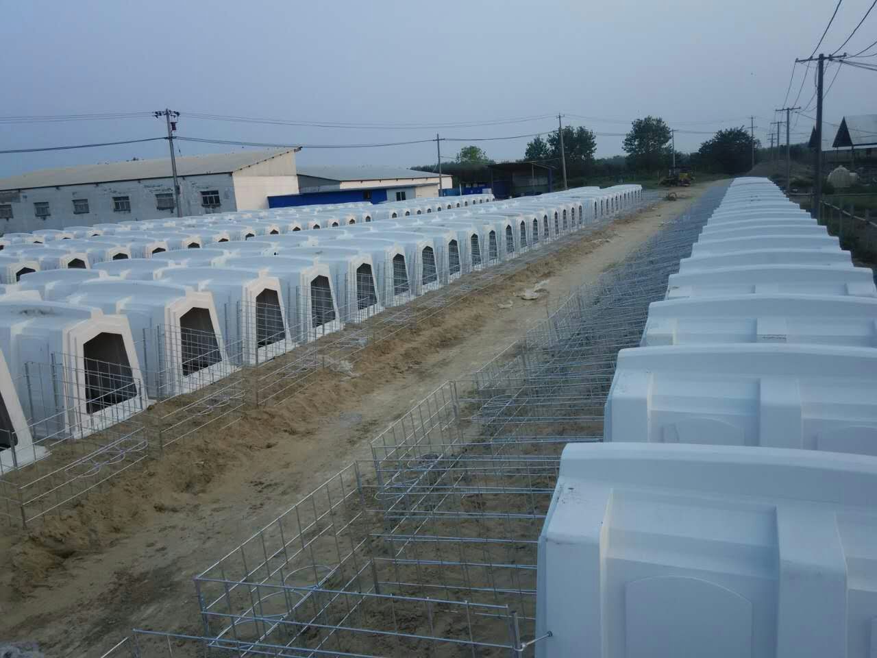 Cattle Livestock Farm Equipment PE Calf Housing Hutch 4-5mm Thickness