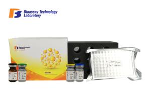 Quality Customized Bovine ELISA Kits Toll -Like Receptor 4 TLR4 2 Hours Assay Time wholesale