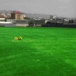 Single Green Pet Friendly Fake Lawn / Outdoor Artificial Grass For Dogs