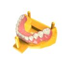Dental 3d Printing High Strength Mobile Base Biocompatible UV Resin