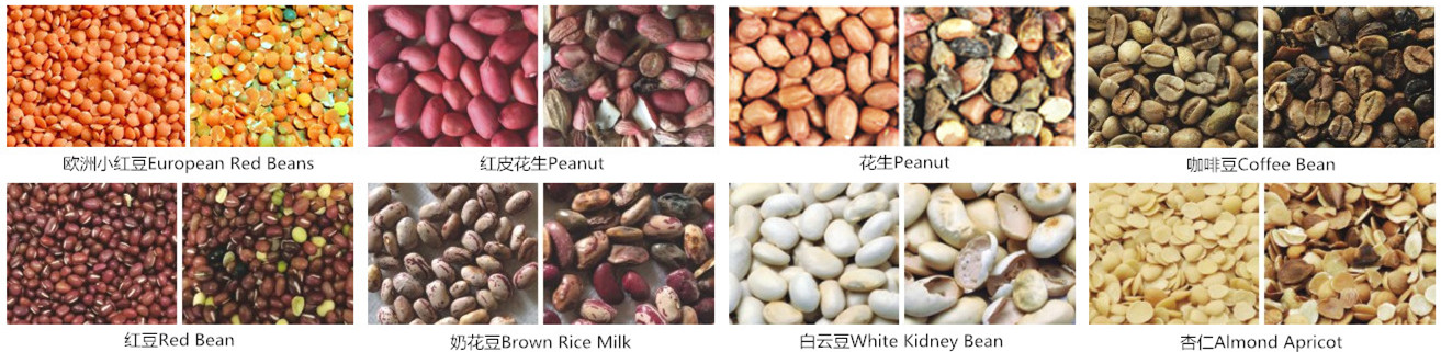 AC220 / 50 Sunflower Seeds Color Sorter Adopt High Tech CCD Camera