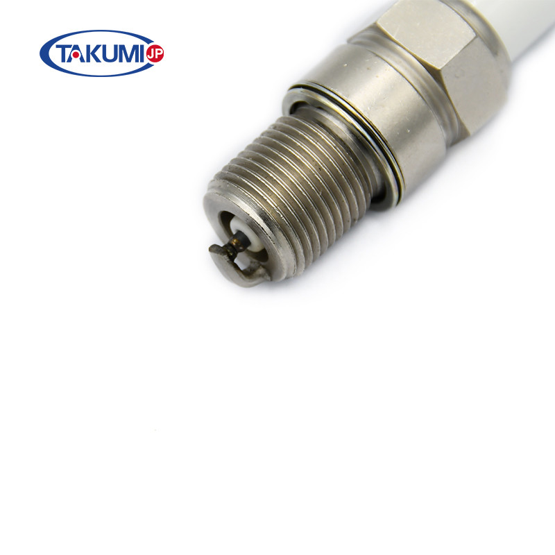 Spark Plugs Replacement For BOSCH 7307, 7308 MWM TBG441B, TBG 616 Gas Engine Parts
