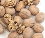 Walnut wholesale price paper shell walnut thin shell Xinjiang walnut washed 185